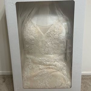 Wedding dress and veil